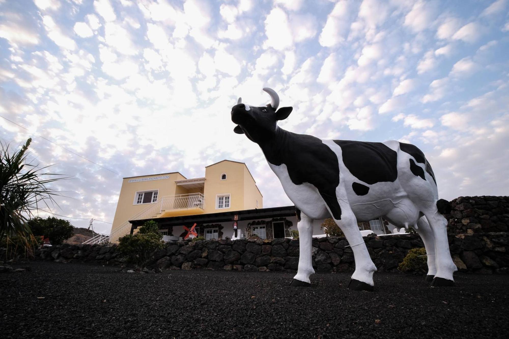 Club Jm Lanzarote Konuk evi Tabayesco Dış mekan fotoğraf